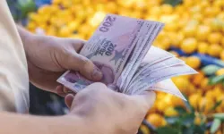 Dijital Kültürde Enflasyonun Yeni Dili: Mizah