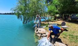 Manavgat'ın Su Kaynaklarına 400 Bin Sazan Yavrusu Bırakıldı