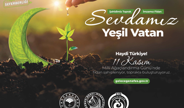 Antalya'dan Doğa Hamlesi: 174 Bin Fidan Toprakla Buluşacak