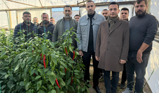 CHP’li Vekil Kaya’dan Serik’te Biber Üreticisine Acil Destek Çağrısı