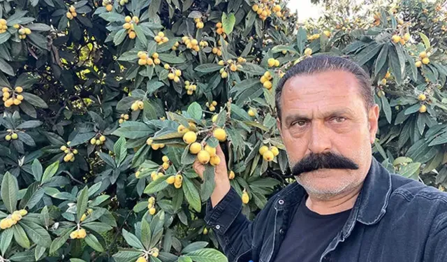 Alanya'da Dalında Kalan Yeni Dünya Vatandaşa Ücretsiz Dağıtılıyor