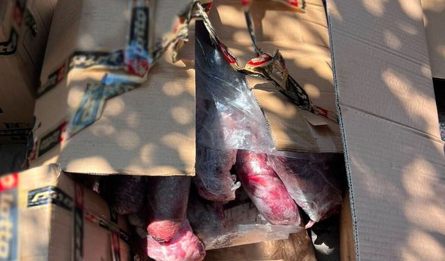 Alanya'da Sağlığı Tehdit Eden 300 Kilogram Et İmha Edildi