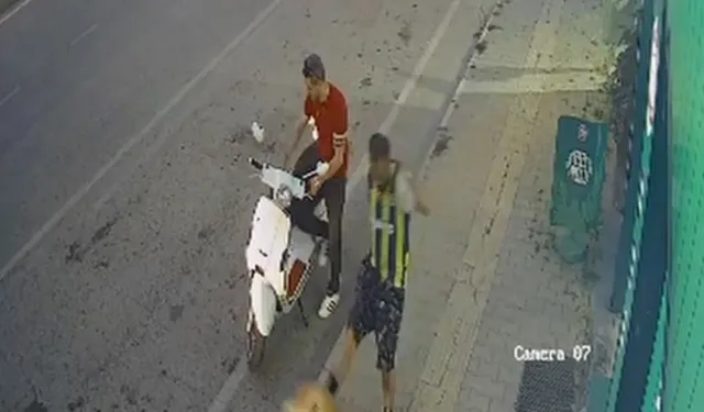 Kediye Tekme Atan Şüpheli Tutuklandı: 'Sinirliydim, Pişmanım'