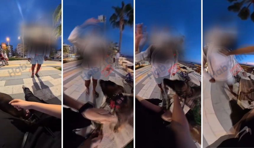 Alanya'da Sahilde Köpeğiyle Gezen Turist Kıza T*ciz ve Tehdit Skandalı