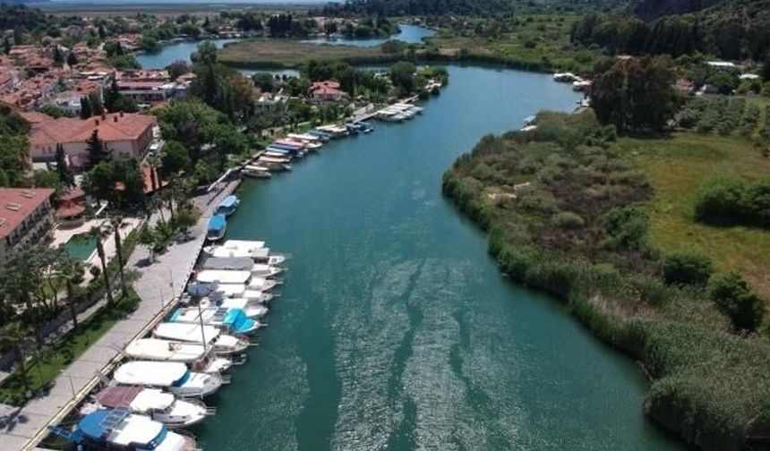Türkiye'nin En Kısa Feribot Hattı: 50 Saniyede Karşıya Geçiş