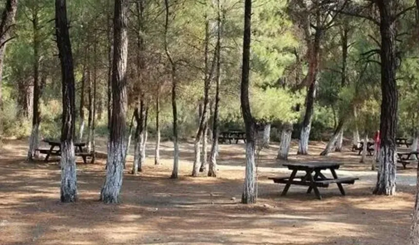 Alanya'da Ormanlara Giriş Yasaklandı
