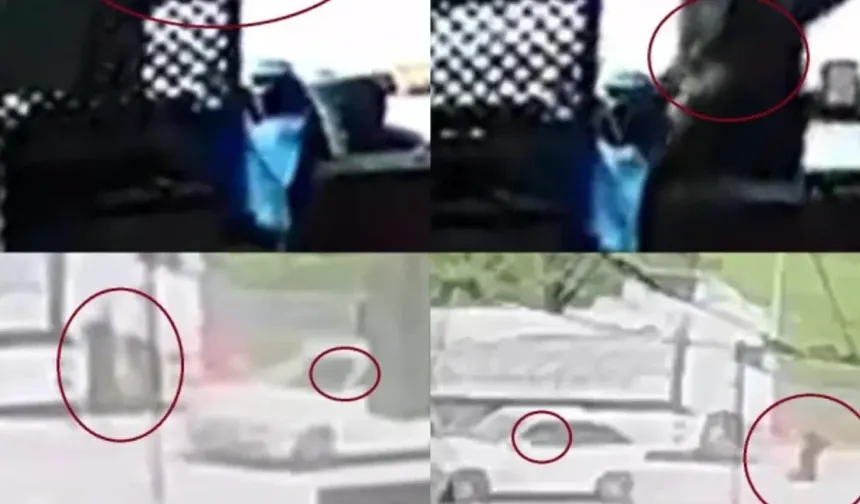 Mersin'de Kanlı Saldırı Zinciri: 6 Ölü, 8 Yaralı